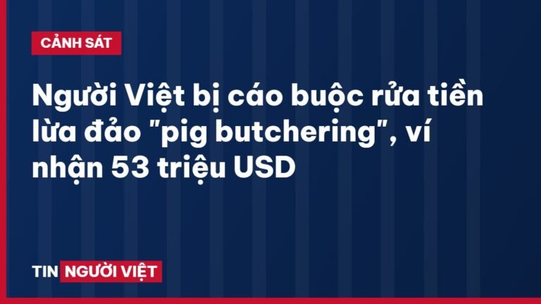 Người Việt bị cáo buộc rửa tiền lừa đảo "pig butchering", ví nhận 53 triệu USD