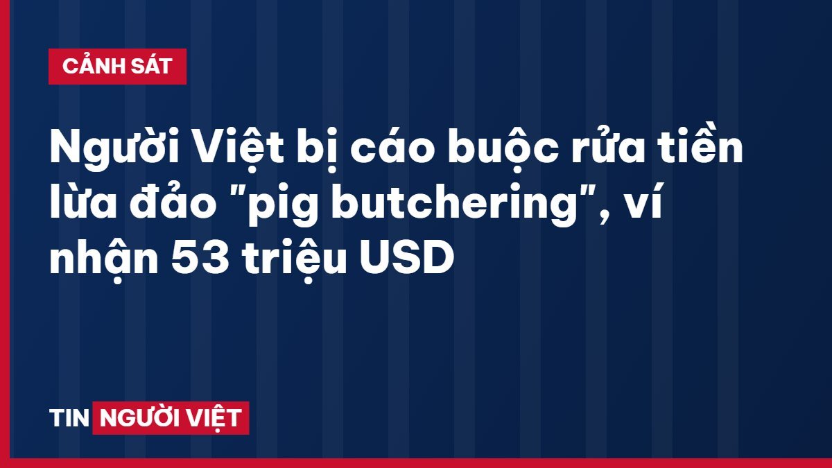Người Việt bị cáo buộc rửa tiền lừa đảo "pig butchering", ví nhận 53 triệu USD